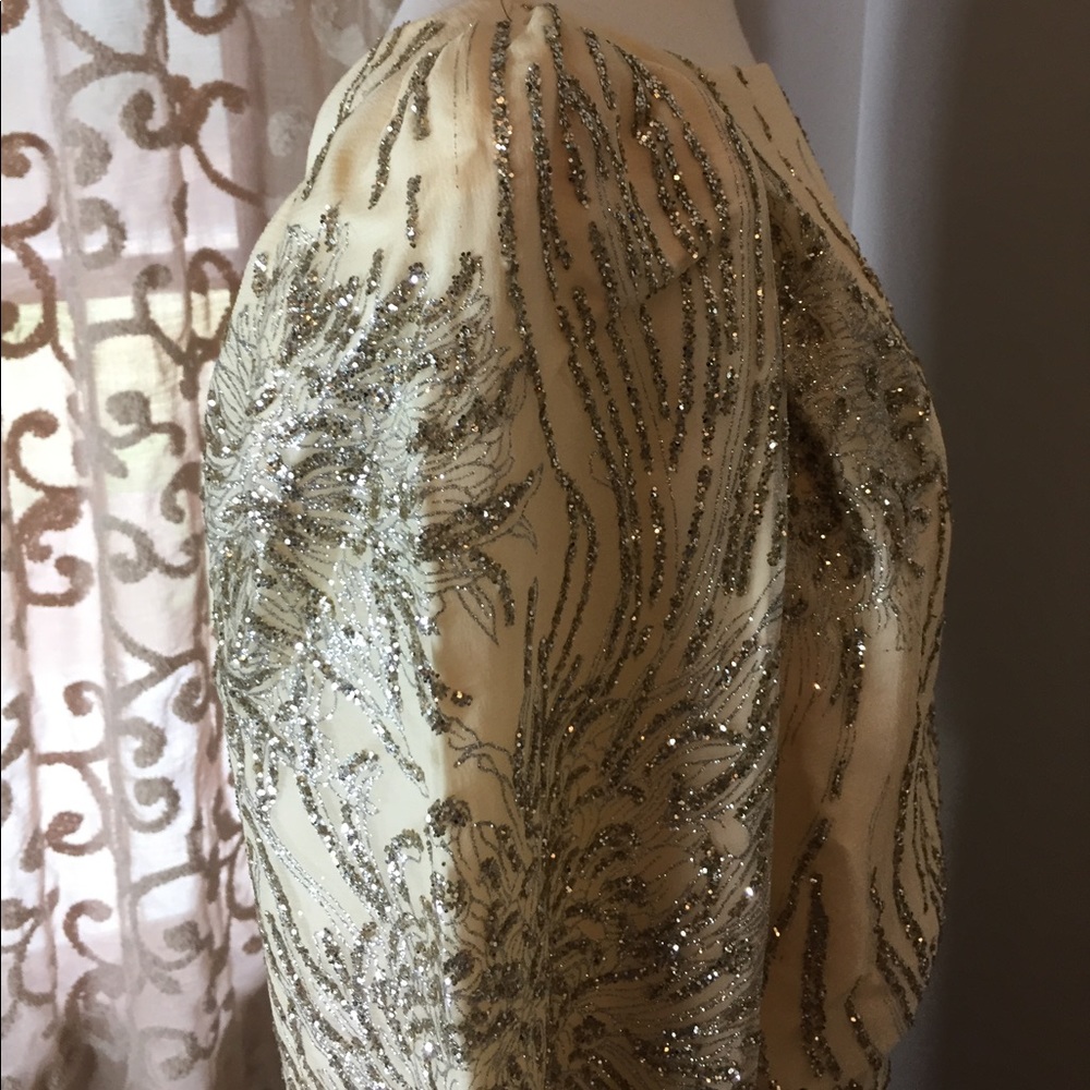 NWT Alyce Designs Vintage white and silver beaded gown - Picture 10 of 16